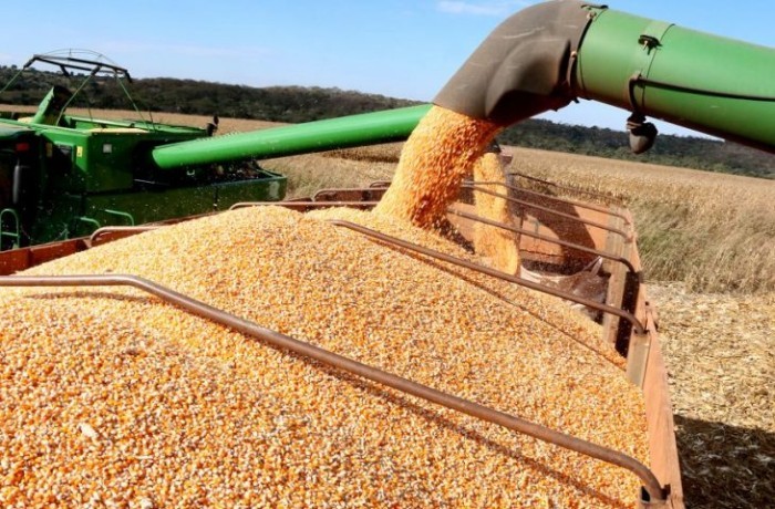Produção agrícola do Estado deve superar 72 milhões de toneladas com renda acima dos R$ 52 bilhões
