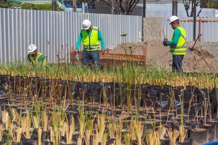 Prosamin+ investe em sustentabilidade e transforma cenário nos canteiros de obras