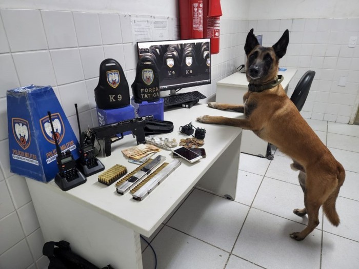 Foto: Reprodução/Polícia Militar - ES