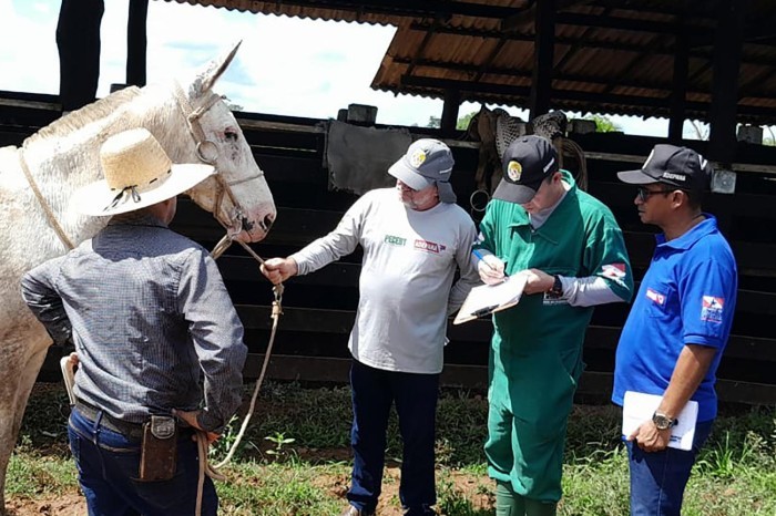 Crédito: Divulgação