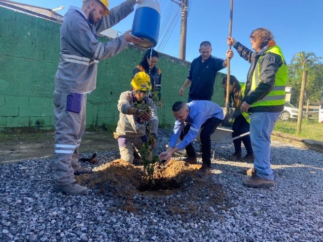 Foto: Reprodução/Prefeitura de São Sebastião - SP