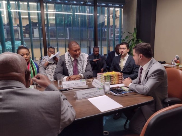 Delegação sul-africana é coordenada pelo deputado Zwelivelile Mandela (E) - (Foto: Divulgação/Câmara dos Deputados)