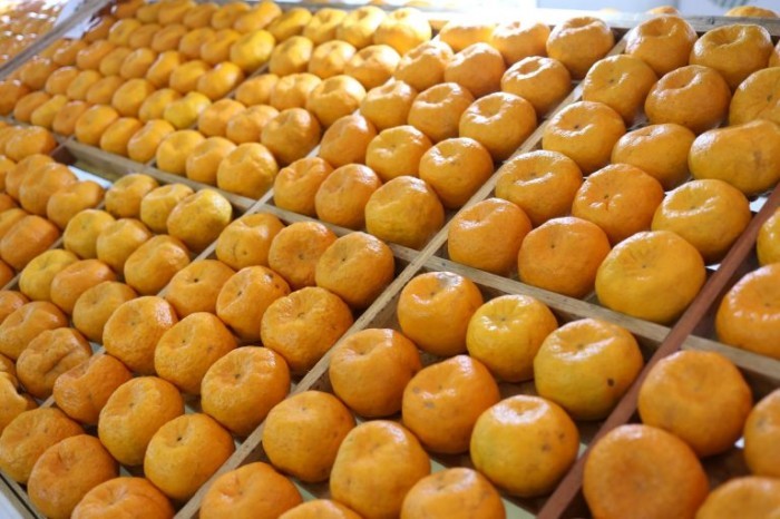 Cerro Azul produz 4,5 mil toneladas de tangerinas por ano - (Foto: Gilson Abreu/Agência de Notícias do Paraná)