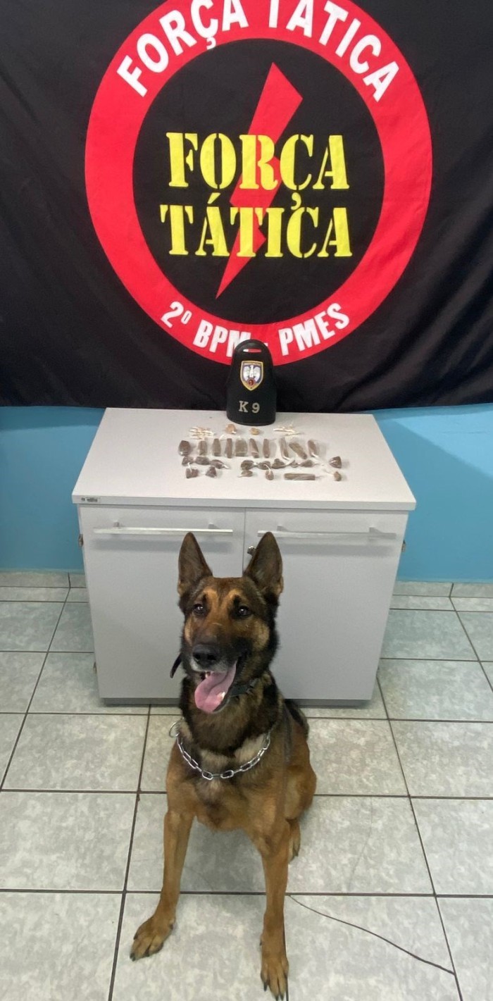 Foto: Reprodução/Polícia Militar - ES