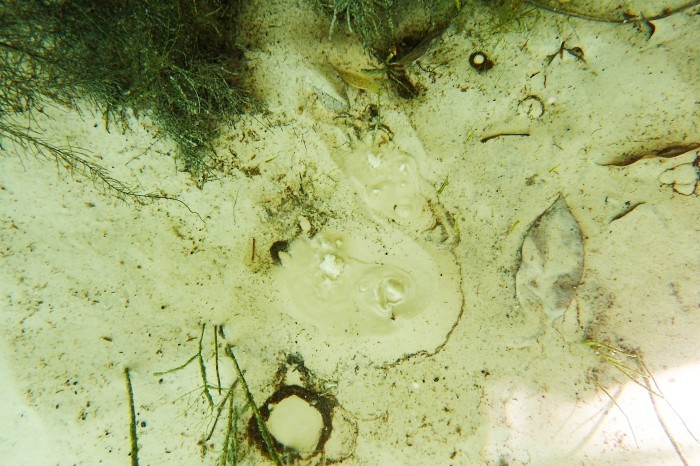 Fervedouro em leito de rio - Foto: Pilar Vilar / Banco de Imagens ANA