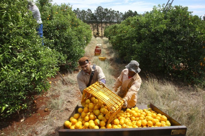 Foto: Reprodução/Secom Paraná