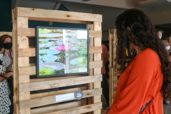 Crédito: Divulgação