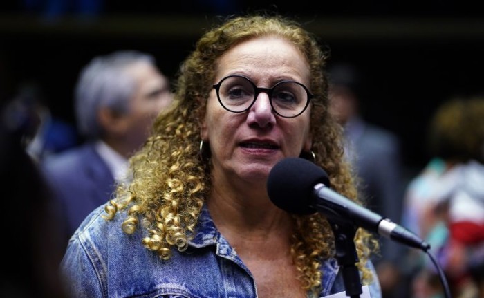 Jandira Feghali defendeu reconhecimento de artistas e técnicos em espetáculos de diversões - (Foto: Pablo Valadares/Câmara dos Deputados)