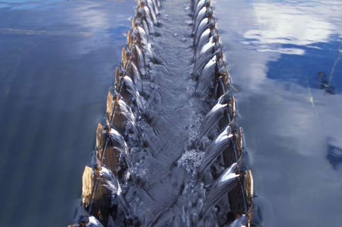 Tratamento de água - Foto: Zig Koch / Banco de Imagens ANA