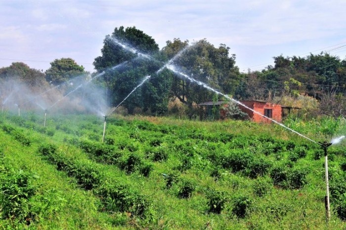 Hoje cooperativas só podem oferecer agrícolas, de saúde e de acidentes do trabalho - (Foto: Acácio Pinheiro/Agência Brasília)