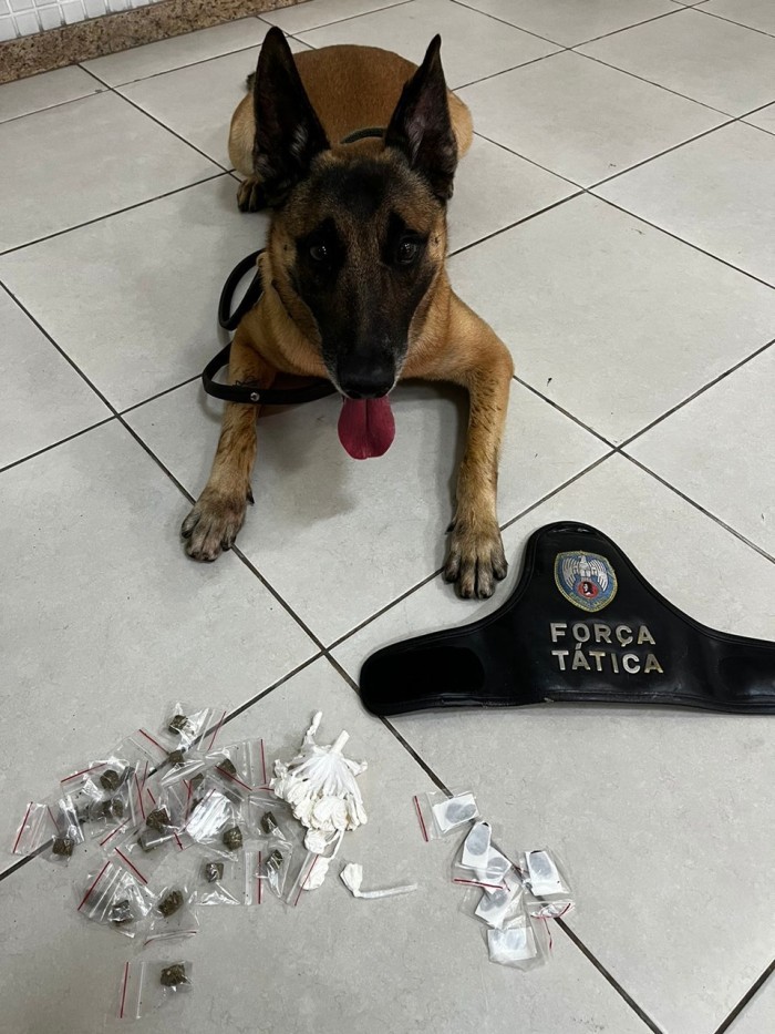 Foto: Reprodução/Polícia Militar - ES