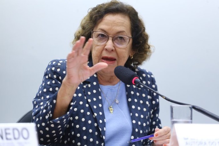 Lídice da Mata: burocracia compromete as atividades culturais do Brasil - (Foto: Vinicius Loures/Câmara dos Deputados)