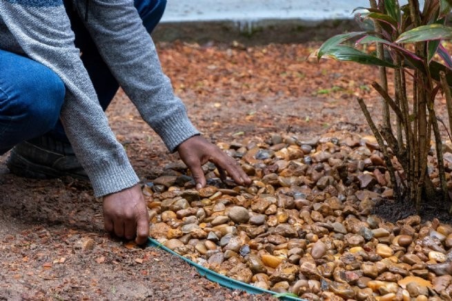 Foto: Reprodução/Prefeitura de São Sebastião - SP