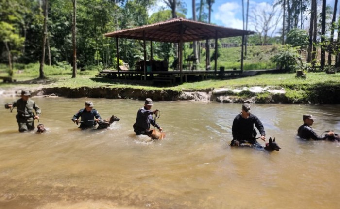 Curso de Cinotecnia habilita o policial a formar cães de polícia - Foto: Seciju/Governo do Tocantins