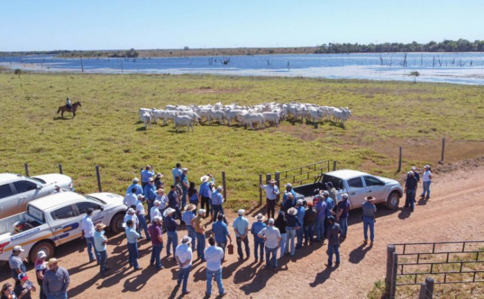 Edição da Rota da Pecuária contou com 254 inscritos, onde 57% eram pecuaristas, e percorreu um total de 1,3 mil km - Foto: William Teixeira/ Governo do Tocantins