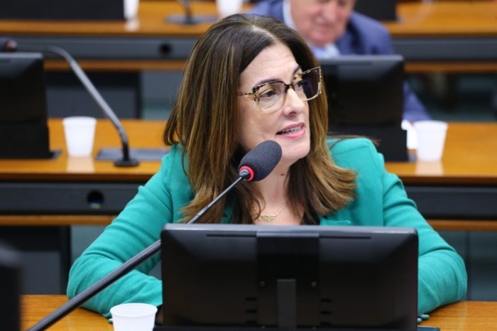 A deputada Rogéria Santos considera que o projeto vai atualizar a legislação brasileira sobre a instituição de datas comemorativas - (Foto: Vinicius Loures/Câmara dos Deputados)