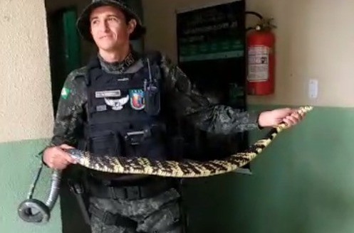 Foto: Reprodução/Secom Ceará