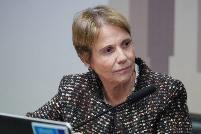 Senadora Tereza Cristina, relatora da medida provisória - (Foto: Pablo Valadares / Câmara dos Deputados)