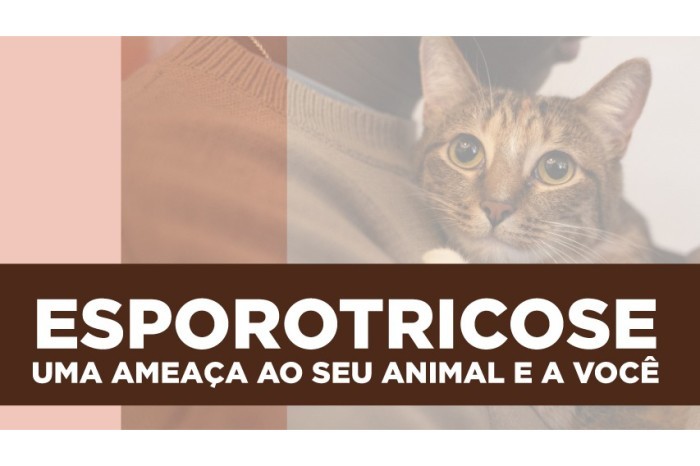Foto: SESA