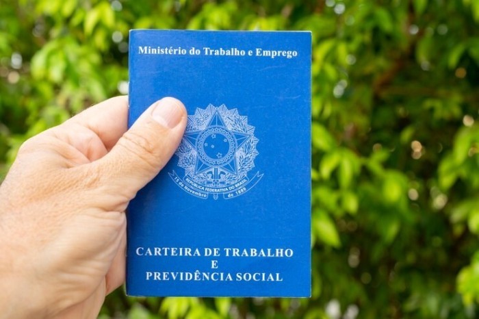 Agropecuária lidera geração de empregos no mês de maio
