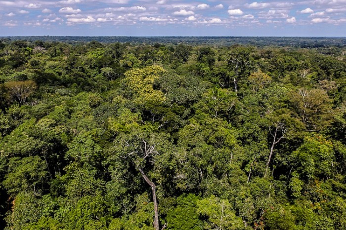 Foto: Reprodução/Secom Acre