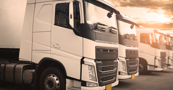 Divulgação - Massimo Consulting