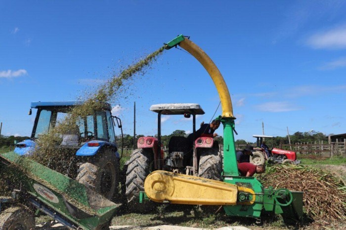 Sepror participa de ação sobre experimento de ensilagem e silagem do capim BRS