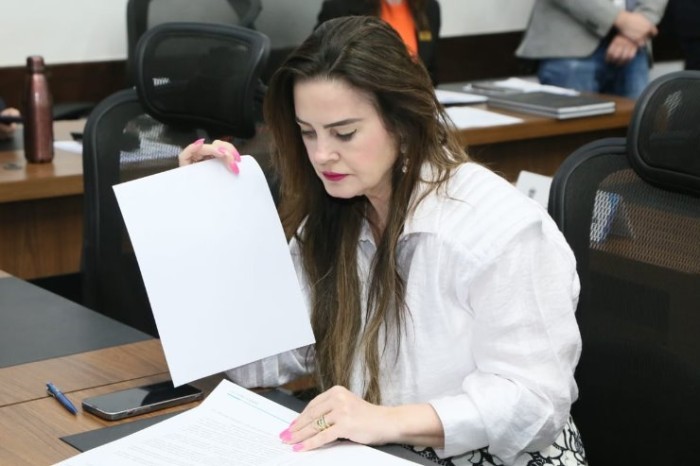 Deputada solicita recuperação do asfalto na MS-384 entre Caracol e Bela Vista