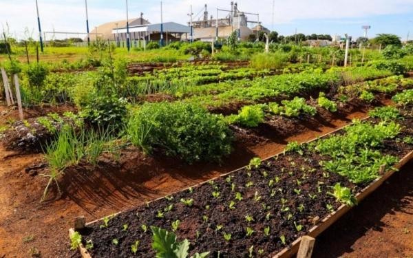 Foto: Reprodução/Câmara de Sorriso - MT