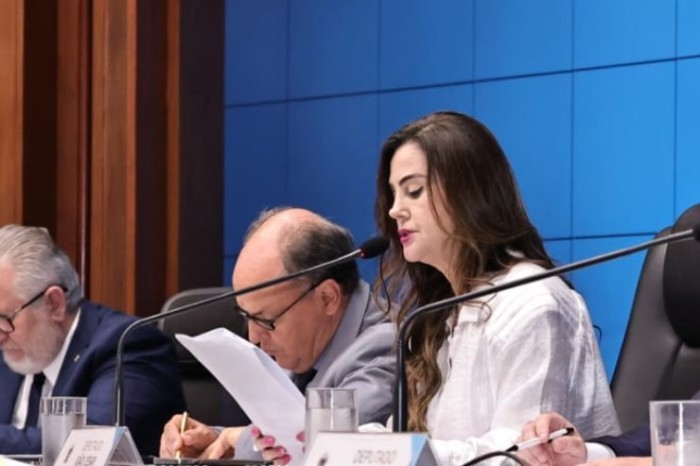 Asfalto da MS-436 entre Camapuã e distrito preocupa deputada Mara Caseiro