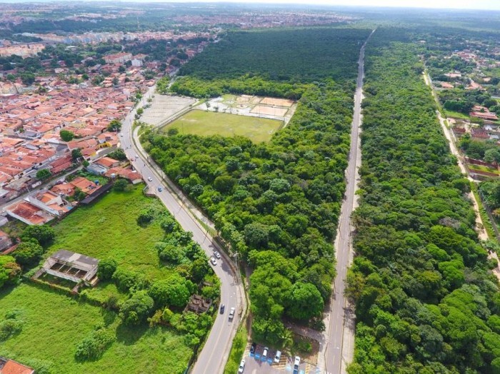 - Parque Ambiental abre para receber trilhas com estudantes da rede pública (Foto: Divulgação)