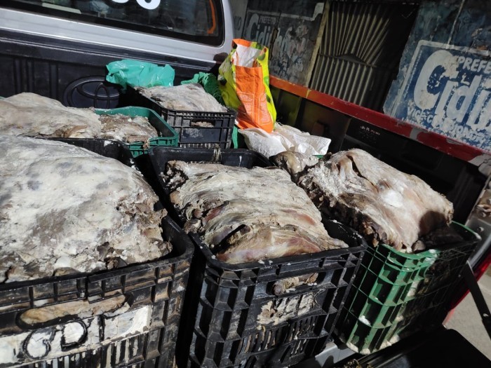 Operação Impacto: PM apreende 650kg carne de caça ilegal no Marajó Oriental