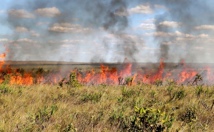 Portaria que suspende a emissão e a vigência das autorizações de queima autorizada entra em vigor na quinta-feira, 20, e vai até 30 de outubro - Foto: Fernando Alves/Governo do Tocantins