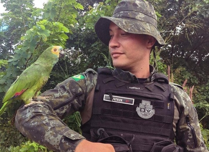 Dia de Proteção às Florestas: conheça o trabalho das forças de segurança no combate aos crimes ambientais no Ceará