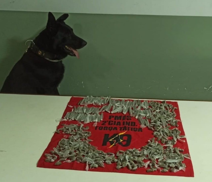 Foto: Reprodução/Polícia Militar - ES