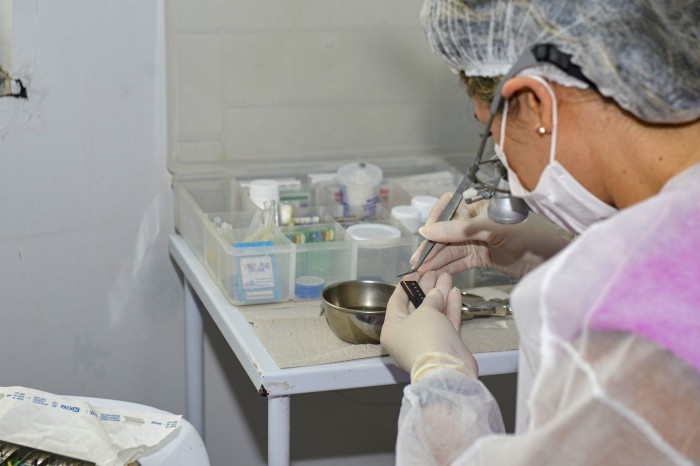 Saúde de Palmas explica fluxo de atendimento odontológico na Capital