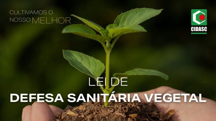 Foto: Reprodução/Secom SC