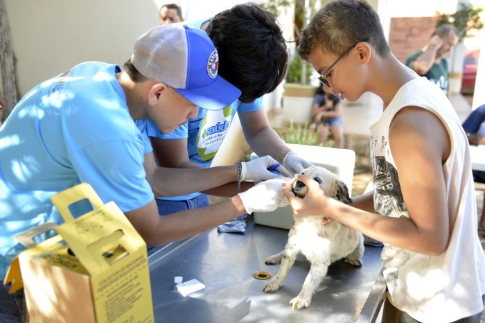 População leva cães para ação de testagem de leishmaniose nesta sexta-feira, 21