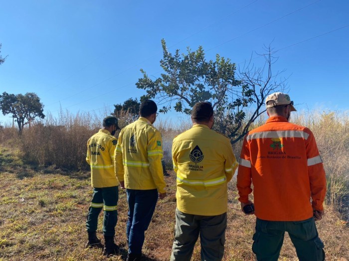 Segunda chamada para contratação de brigadistas florestais