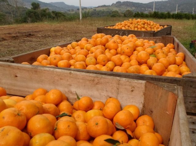 Foto: Reprodução/Secom SC