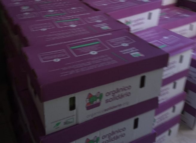 Foto: Reprodução/Prefeitura de São Sebastião - SP