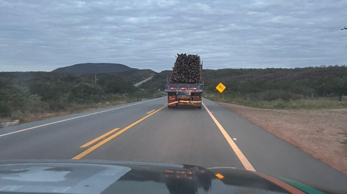 Duas pessoas são detidas pela PMCE com caminhão carregado de madeira nativa em Canindé