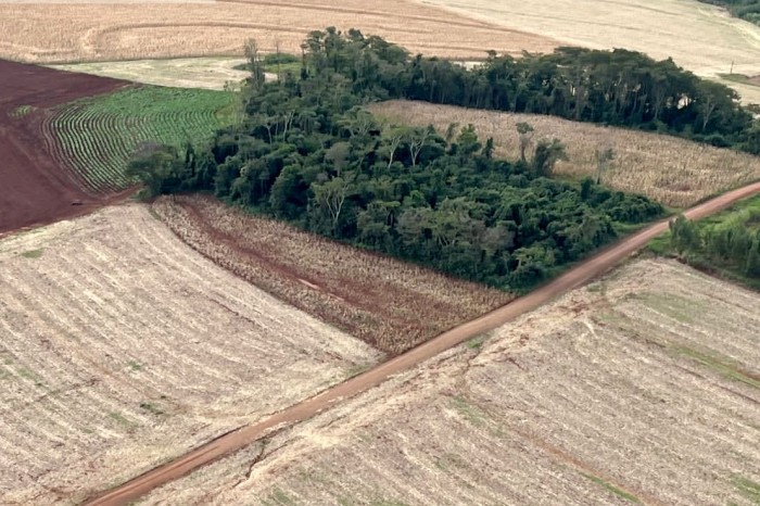 Foto: Reprodução/Secom Paraná