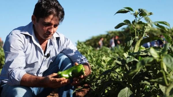 Foto: Reprodução/Prefeitura de Sorriso - MT