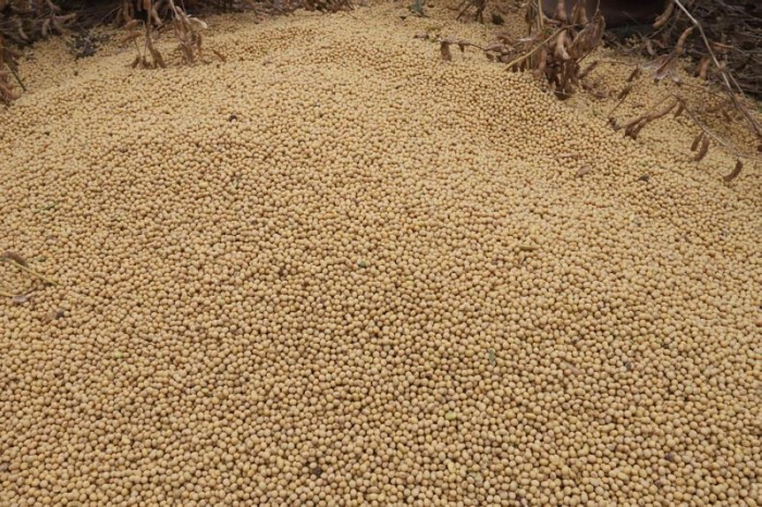 Crédito: Divulgação