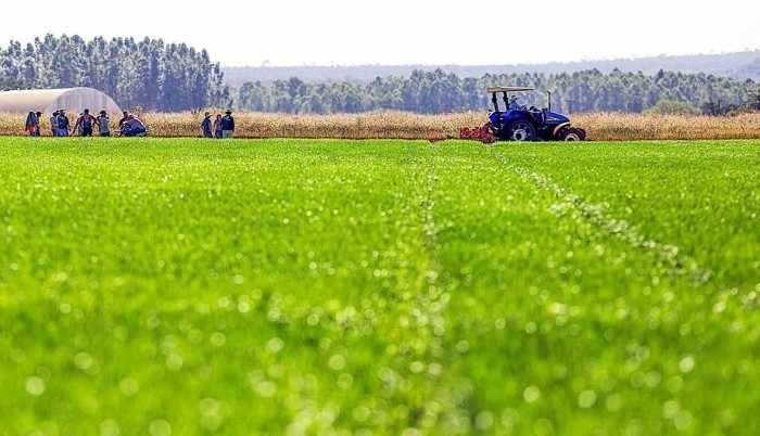 Curso de tratorista capacita produtores rurais do DF