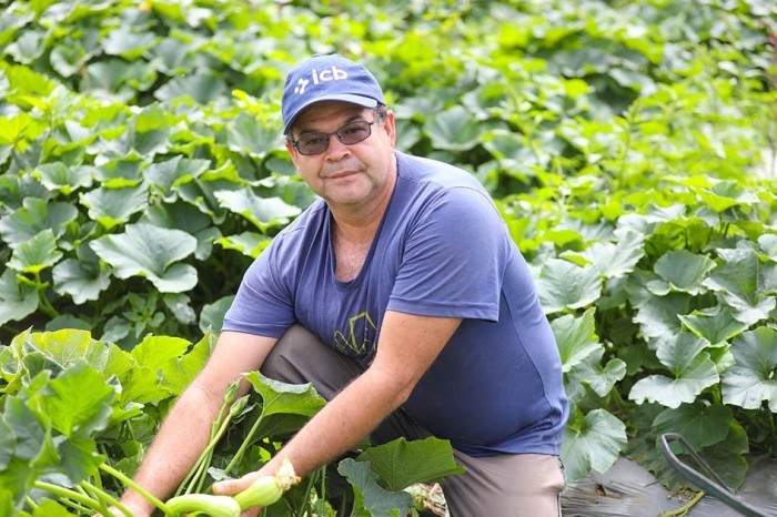 Programas do GDF beneficiam mais de 20 mil produtores rurais