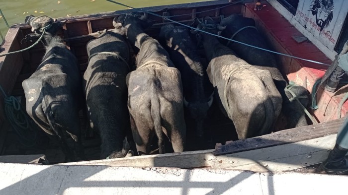 Divulgação: CPR XI