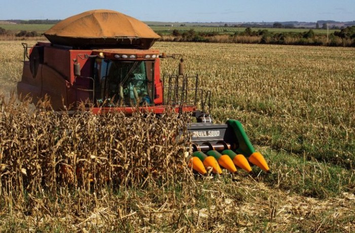 Com forte reação do agro, MS gerou 3 mil empregos em junho e tem estoque de trabalho recorde