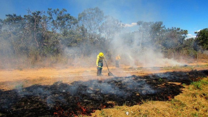 Nova instrução define procedimentos para autorização de queima controlada